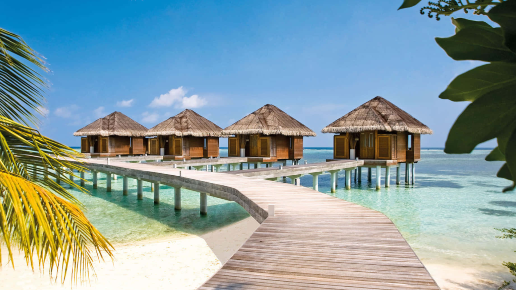 Mesmerizing Maldives